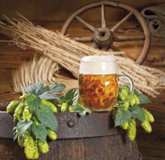 Bierseminar