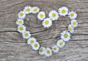 Blumenherz