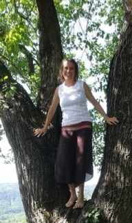 im Baum