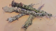 Stick